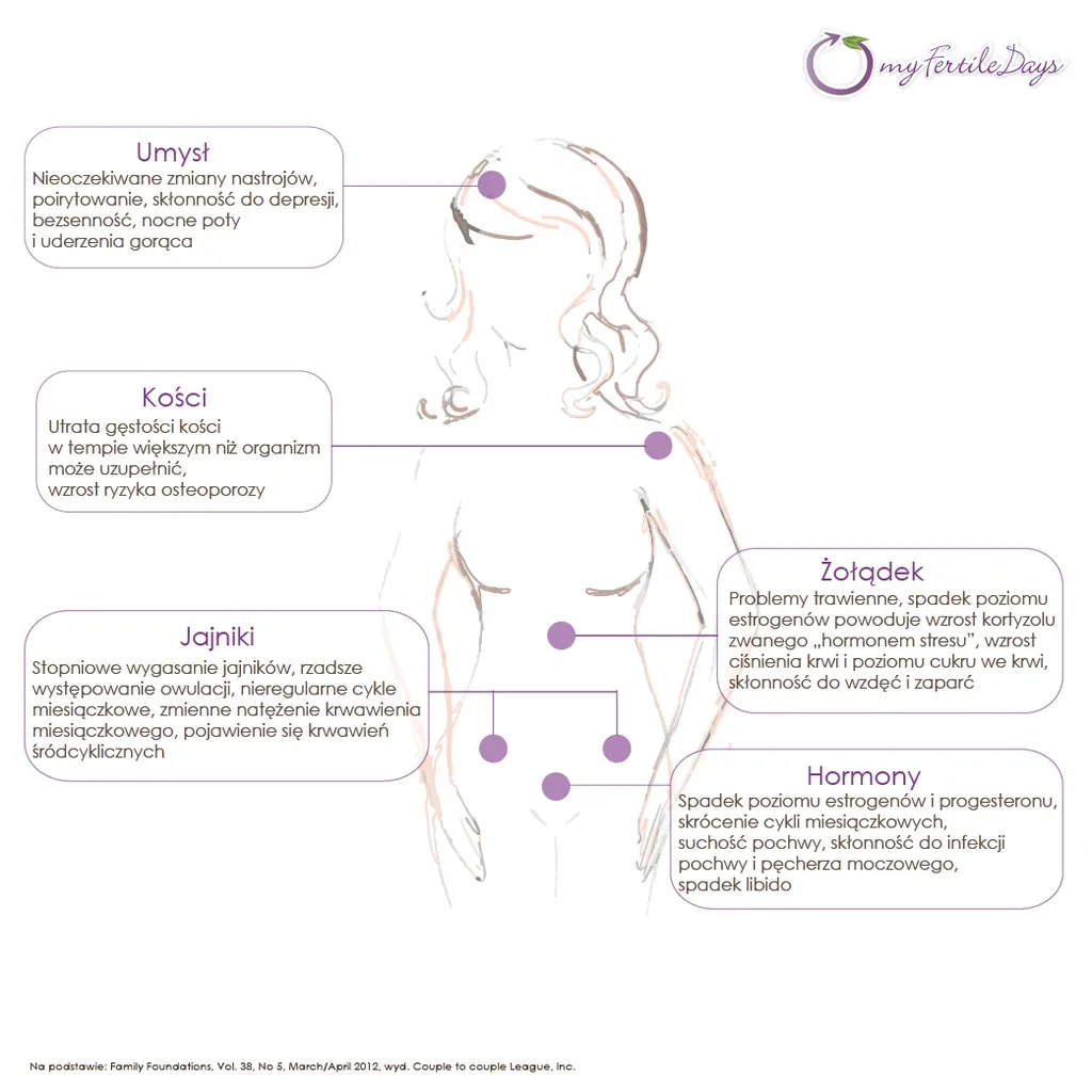 Illustration for a blog post about menopause.