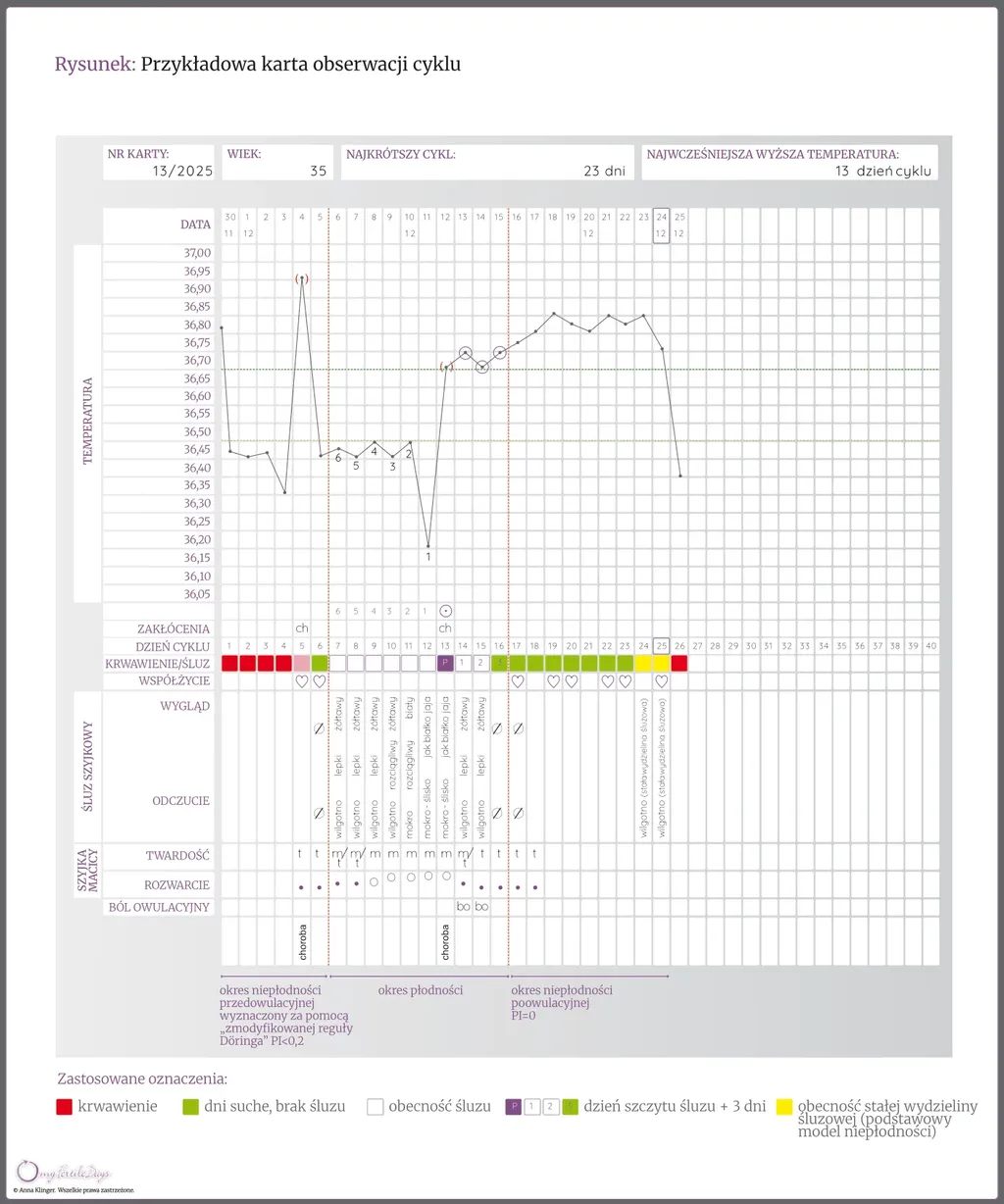Grafika do wpisu na blogu dotyczącego karty cyklu - przykładowa karta cyklu.