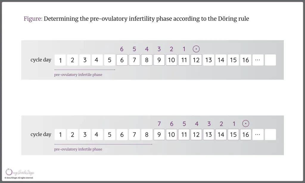 Infographic illustrating the determination of fertile days based on the Döring rule.