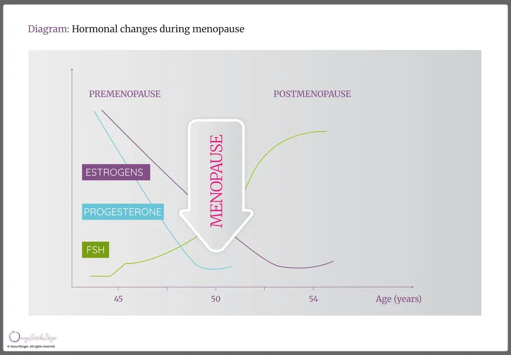 Infographic illustrating hormonal changes occurring during menopause.