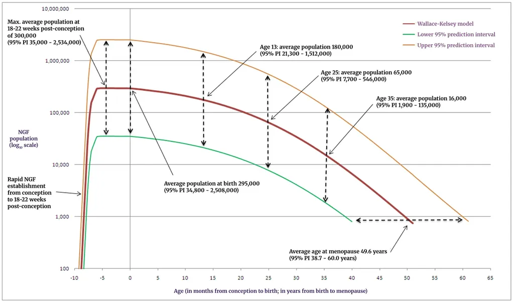 Chart of ovarian reserve levels according to a woman’s age.