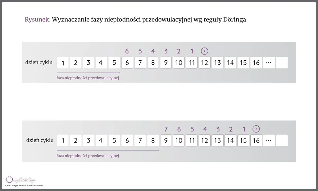 Infografika obrazująca wyznaczanie dni płodnych na podstawie reguły Döringa.