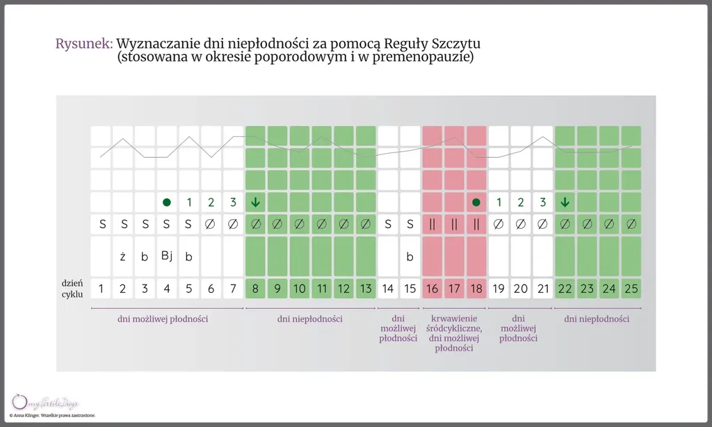 Infografika pokazująca wyznaczanie dni niepłodności za pomocą Reguły Szczytu (w okresie poporodowym i menopauzy).